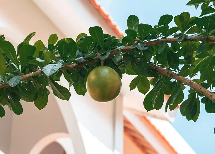 Mahalona Bali Aparthotel Canggu (Bali)